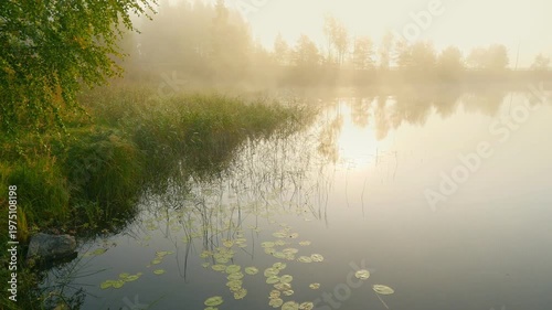 Wallpaper Mural Serene foggy morning by a lake in Finland, golden sun rays shining through the mist over the water. Enchanting autumn morning in Finland with misty lake and reeds, scandinavian wilderness Torontodigital.ca