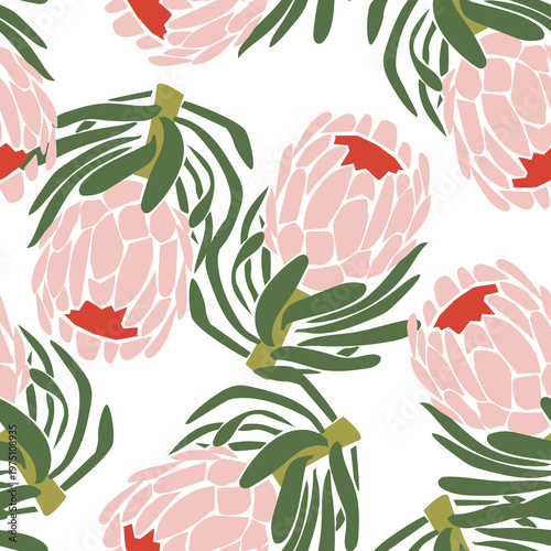 Pink Hand drawn Protea Flower Seamless Pattern on white background