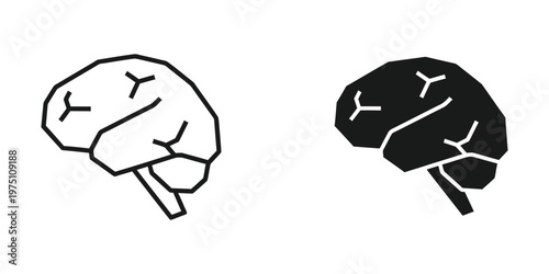 Side-by-side comparison of human brain hemispheres with highlighted fissures and lobes