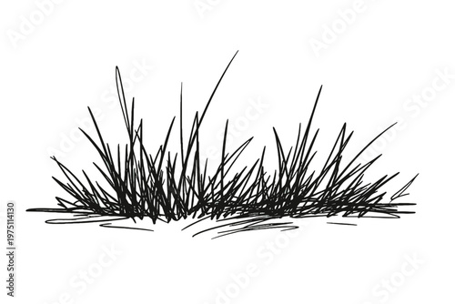 Simple imperfect variation minimal lines generation vector messy abstract grass image icon