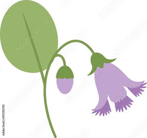 Purple flower with green leaf and stem