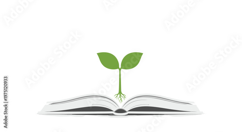 Open book with a small green seedling sprouting from the center pages representing new ideas and intellectual growth against a plain white background.