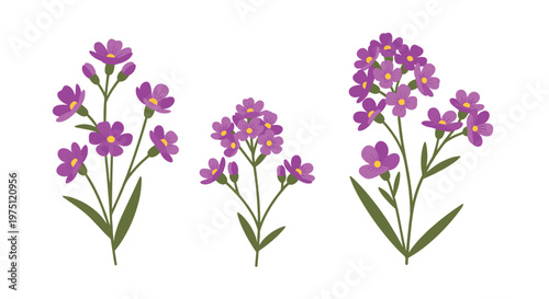 Delicate clusters of small purple flowers with bright yellow centers and slender green stems arranged elegantly against a clean and bright white surface.