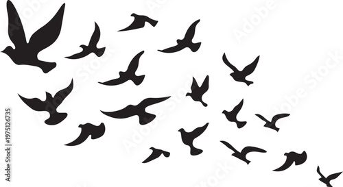 Soaring Birds Silhouettes: A flock of birds takes flight against a vibrant sky, their silhouettes capturing a sense of freedom, movement, and the beauty of nature.png