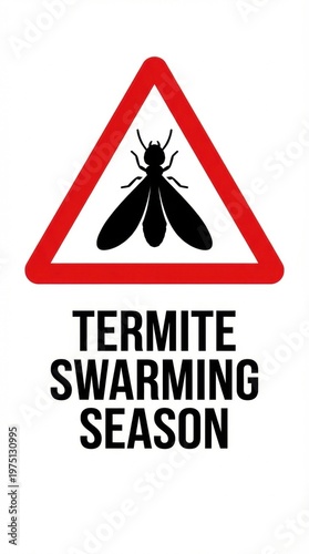 Red warning triangle with winged termite icon and swarming season text. This graphic alerts owners to seasonal insect activity. Suitable for pest control marketing and safety notices.