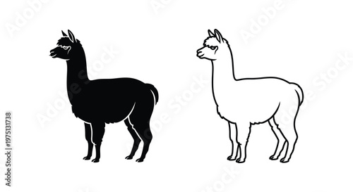 Alpaca vs Llama: Differences Explained Vector