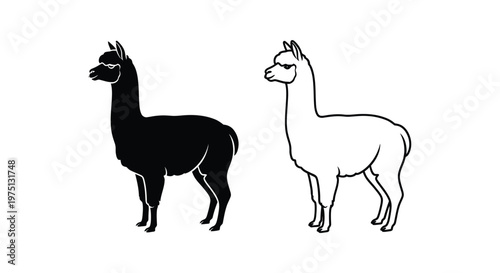 Alpaca vs Llama: Key Differences Explained Vector
