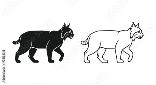 Wildcat vs Lynx: Silhouette Comparison Guide Vector