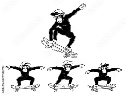Monkey play skateboard vector