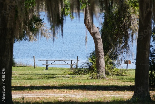 A distance view of the lakeside picnic table and grill sit beneath moss-draped trees in a quiet grassy park setting near Lake Manatee State Park, Bradenton, Florida, U.S.A