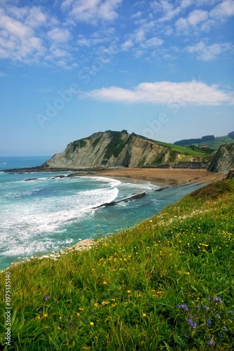 Scenic view of Itzurun beach and flysch rock formations in Zumaia, Spain. Coastal landscape with turquoise ocean waves, sandy shore, green cliffs and yellow wildflowers under blue sky with clouds
