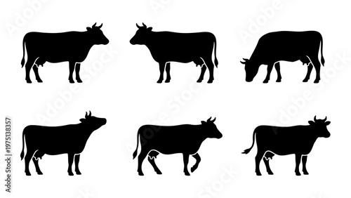 Black cow silhouette collection, set of 6 farm animal vector icons, cattle standing and grazing shapes, livestock farm branding elements
