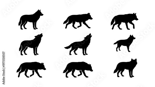 Black wolf silhouette set with 9 vector elements, howling and walking wild dog silhouettes, forest predator animal shapes for logos and design
