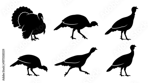 Black turkey silhouette collection, set of 6 wild turkey bird icons, farm animal silhouettes for Thanksgiving and autumn harvest design