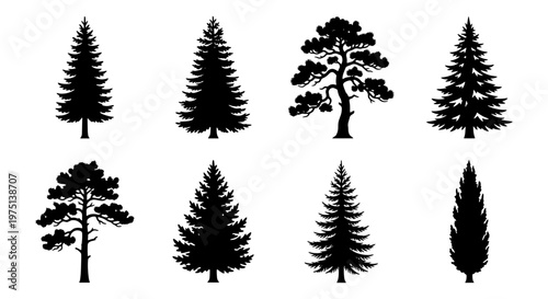 Coniferous tree silhouette collection, set of 8 evergreen pine and spruce vector icons, black forest timber elements for landscape design