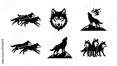 Black wolf silhouette vector icons, howling wolf head and running pack collection, 6 wild animal logo elements for outdoor branding
