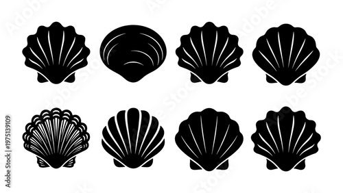 Minimalist seashell silhouette icons, set of 8 black scallop shell vector illustrations, nautical ocean beach symbols for summer branding
