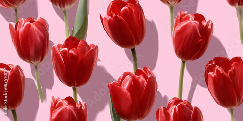A collection of vibrant red tulips arranged in a pattern, with a soft pink background