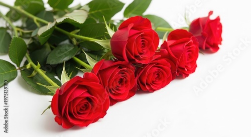 Vibrant red roses a bouquet of love and beauty