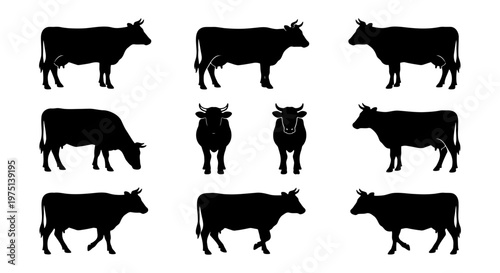 Black cow silhouette collection, set of 11 cattle vector icons, farm animal silhouettes for dairy and meat industry branding, livestock profile shapes