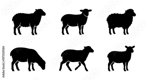 Black sheep silhouettes collection, set of 6 farm animal vector icons, woolly ewe and ram standing and grazing shapes on white background