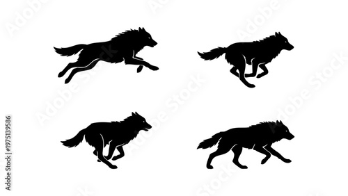 Black wolf silhouette set, running wild wolf vector illustrations, 4 predatory animal silhouettes in motion, isolated canine predator icons