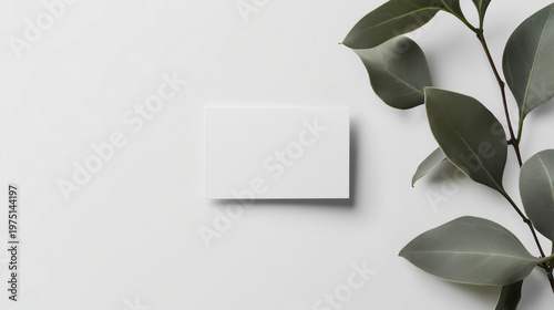 Minimalist white business card on light surface with green leaves