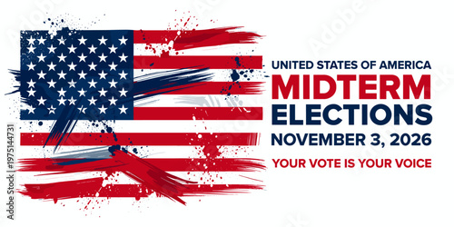 Abstract Flag Design for Midterm Elections in the United States