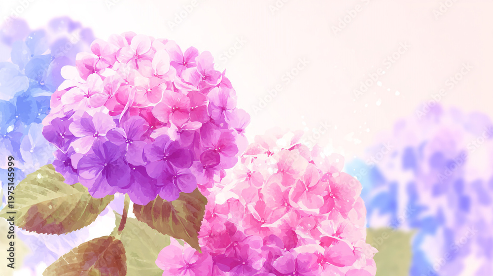 custom made wallpaper toronto digitalwatercolor botanical hydrangea flowers texture template background.Elegant wedding invitation card background . Minimal hand painted Design for wedding or Valentine's Day
