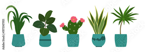 Set of different potted plants. Indoor houseplants for interior decor, gardening, botanical design. Hand drawn vector illustration isolated on white background, modern flat cartoon style