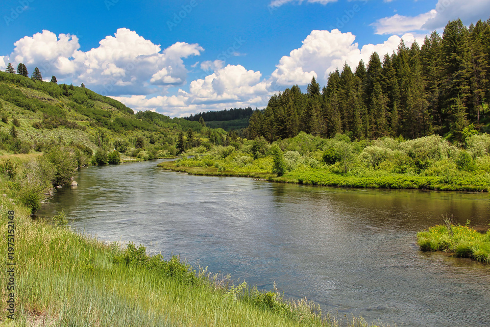 Obraz premium Early Summer Flow on the Fall River in Northeastern Idaho.