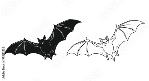 Flying Bats Illustration: Chiroptera Winged Creatures Vector
