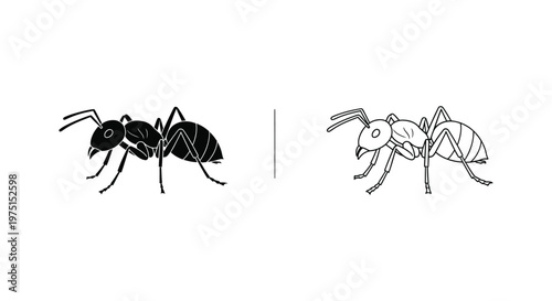 Ant Species Comparison Guide: Worker Ants Vector