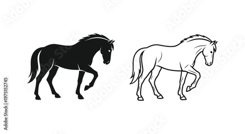 Ancient Horse Breeds: Evolutionary Comparison Vector