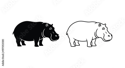 Hippopotamus vs Hippo: Key Differences Explained Vector