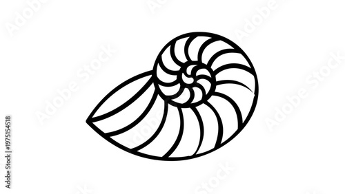 Minimalist nautilus shell vector icon illustration featuring a clean black line art spiral design, perfect for nautical maritime themes, marine biology education, and beach-inspired graphic art.