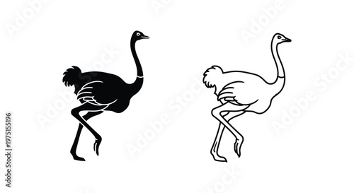 Ostrich and Emu Birds Silhouette Vector Design Vector