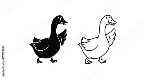 Black and White Ducks Illustration Guide Vector