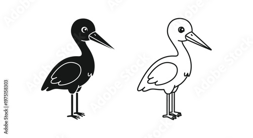 Black and White Wading Birds Illustration Guide Vector