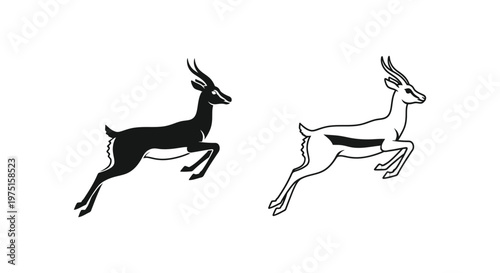 Antelope Art: Graceful Prints & Sketches Vector