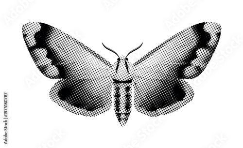 A close-up of a moth?s wings focusing on mirrored patterns and halftone gradients, black and white illustration, classic editorial style, high contrast,