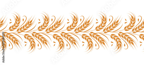 Ear of wheat and wheat grain on white background. Organic wheat, bread agriculture and natural eat, barley, rye, rice. Agricultural background template. Seamless pattern. Vector illustration