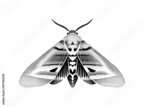 A moth silhouette with subtle internal engraved patterns revealed through halftone shading, black and white illustration, editorial print aesthetic, high