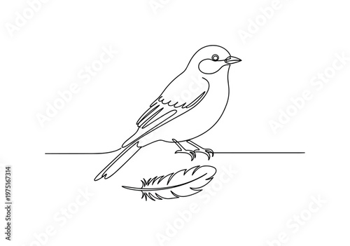 Nature Pair. Minimalistic one-line drawing a bird perched with a feather lying below, continuous single black line on white background, simple outline style,