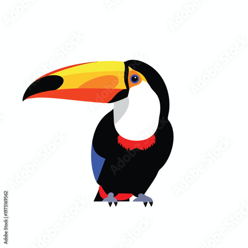 Vibrant cartoon toucan with large, colorful beak, isolated on white