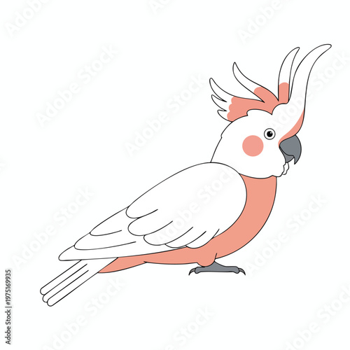 A cartoon cockatoo with white and pink feathers, a gray beak, and dark eyes