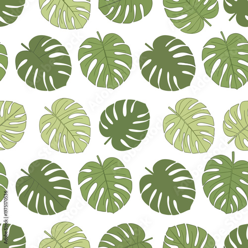 Repeating pattern of green monstera leaves on a white background