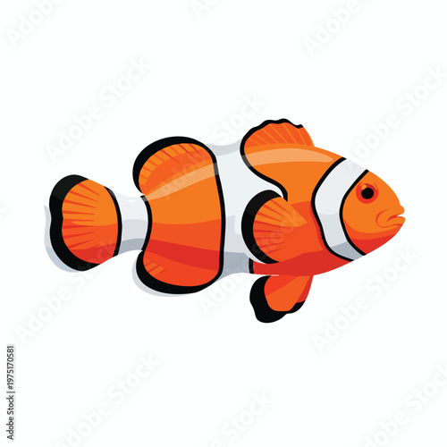 Cartoon clownfish with orange, white, and black stripes, on a white background