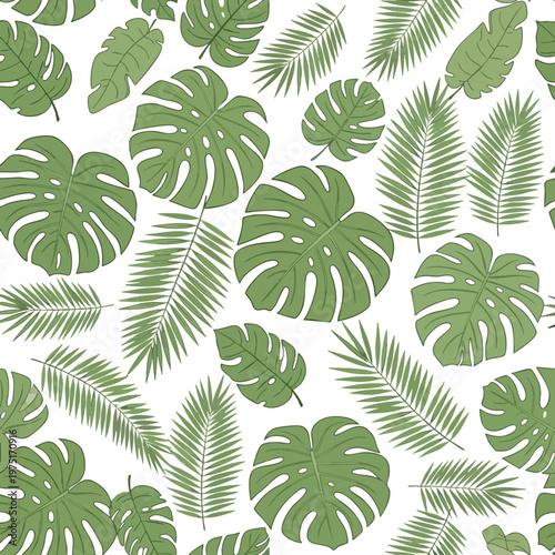 Pattern of green monstera and palm leaves on a white background