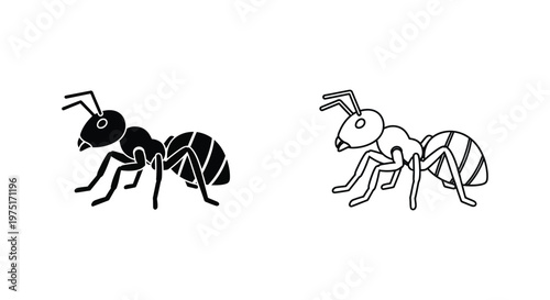 Ant Species Comparison: Worker Ants Guide Vector